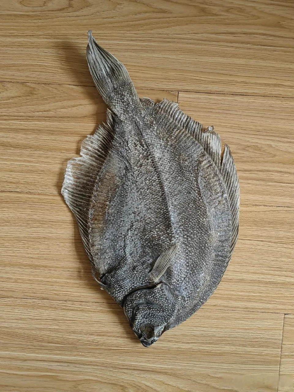 涨见识了! 旧货市场竟然买到圆斑星鲽鱼干,这东西也能盘?