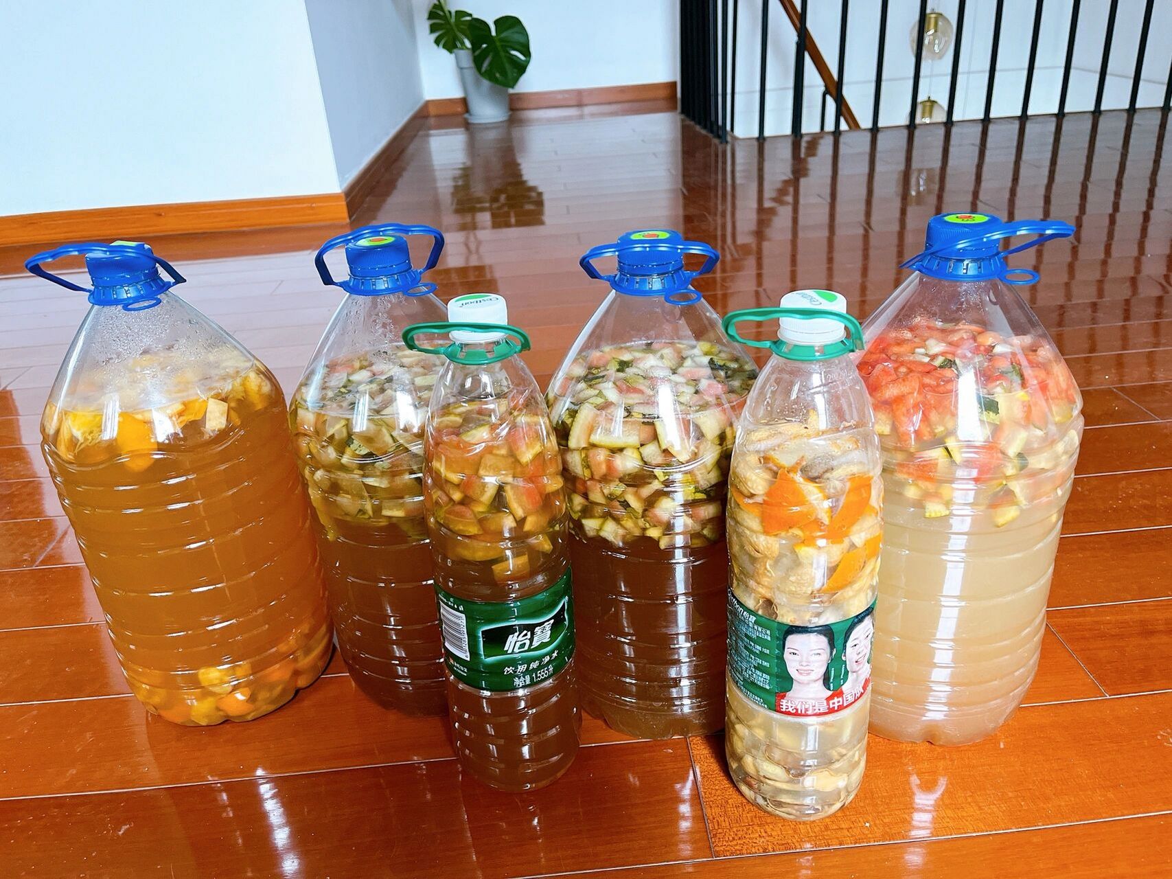 看到很多花友做的果皮酵素用起来不仅省了肥料钱90,还剩了杀虫药的