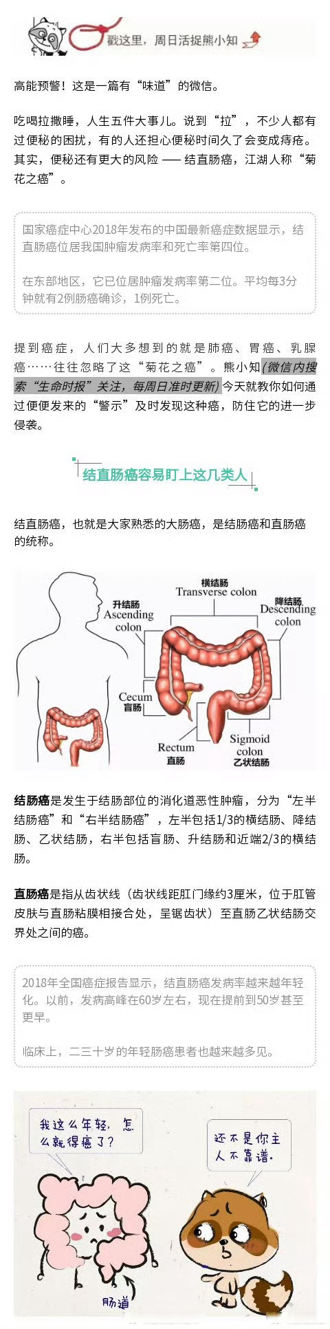 直肠癌长在什么位置图片