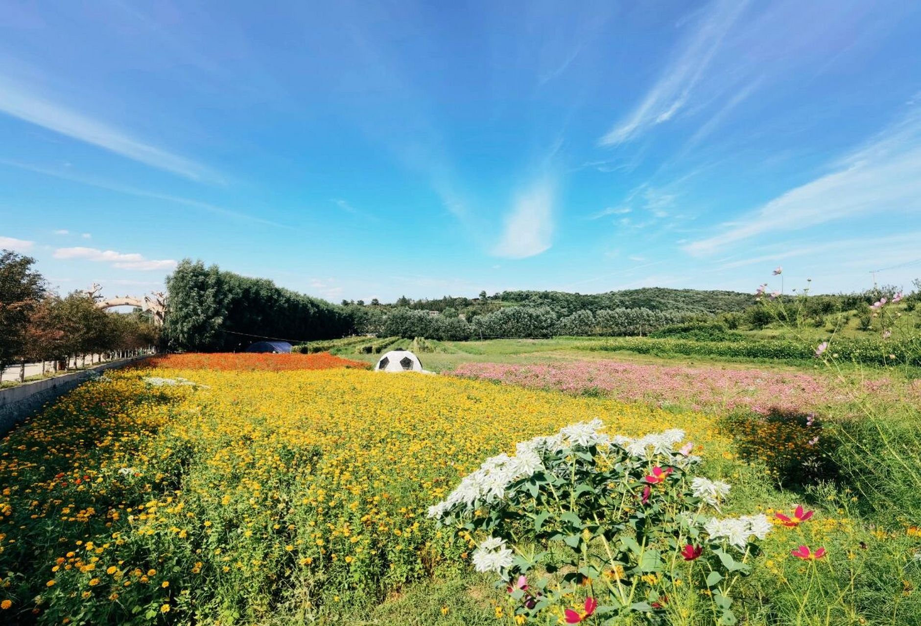 沈阳富龙生态庄园 bbq 采摘 蒙古包吃饭唱歌一条龙的休闲去处 四合院