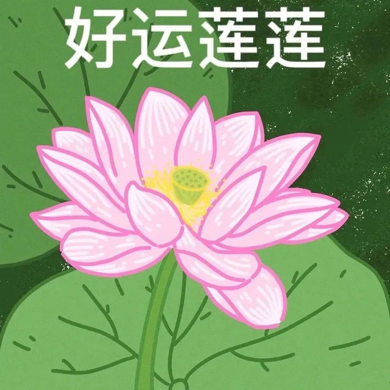 女人用什么微信头像财运好 女人招财风水头像图片大全 本人丰富,不