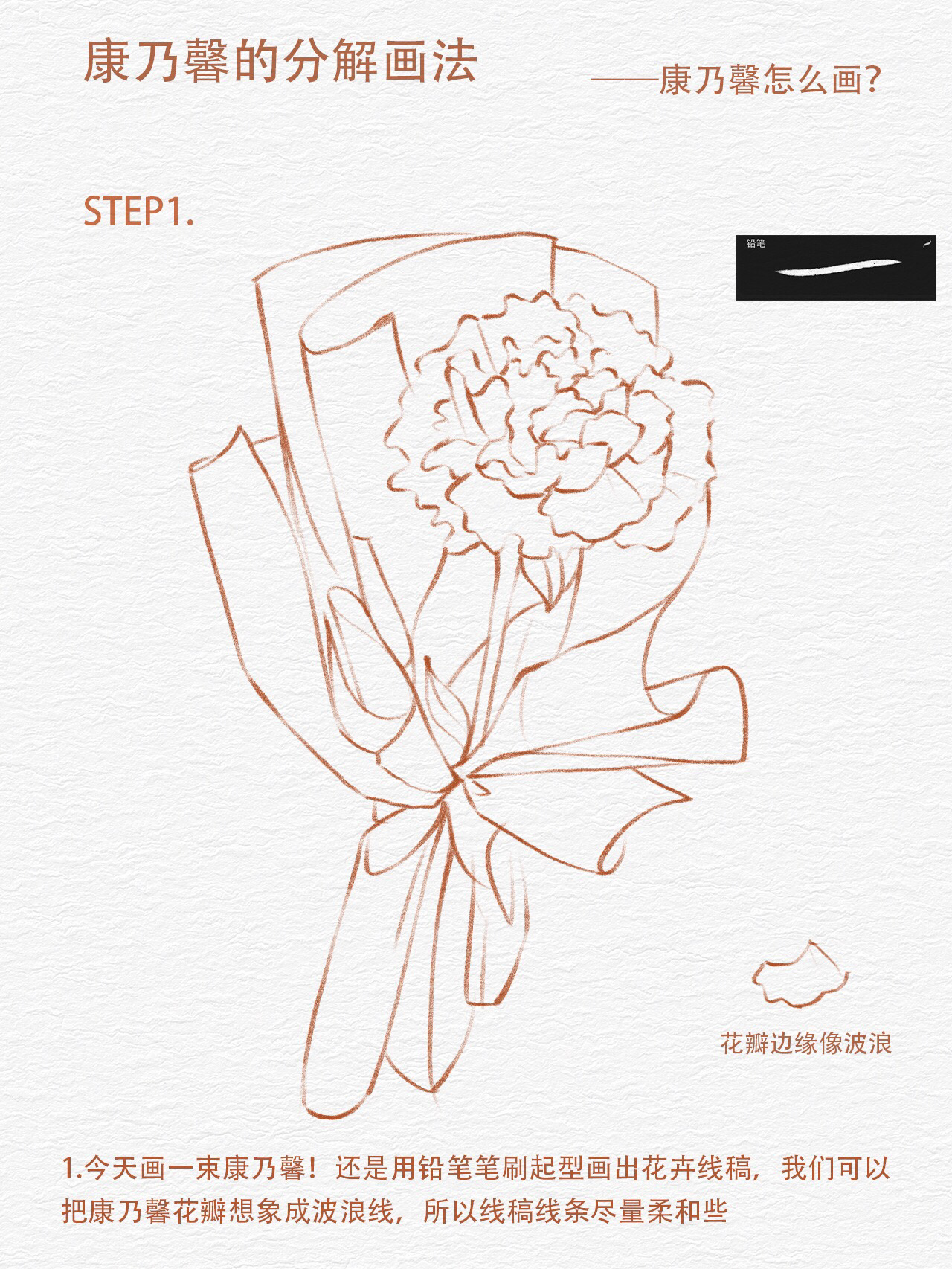 零基础学插画|康乃馨的分解画法