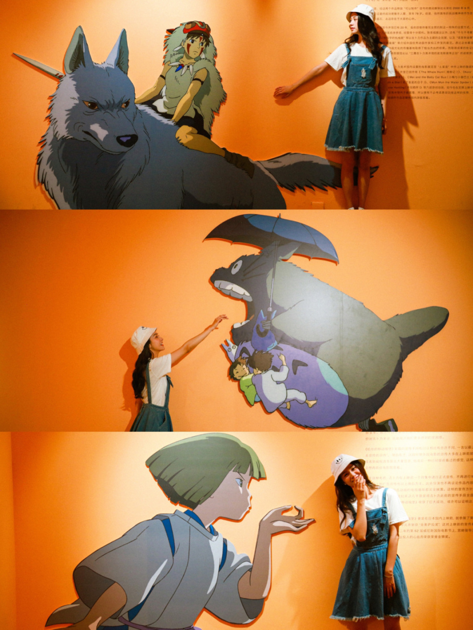 959595 今年夏天最期待最激动的展览 《宫崎骏与吉卜力的世界》