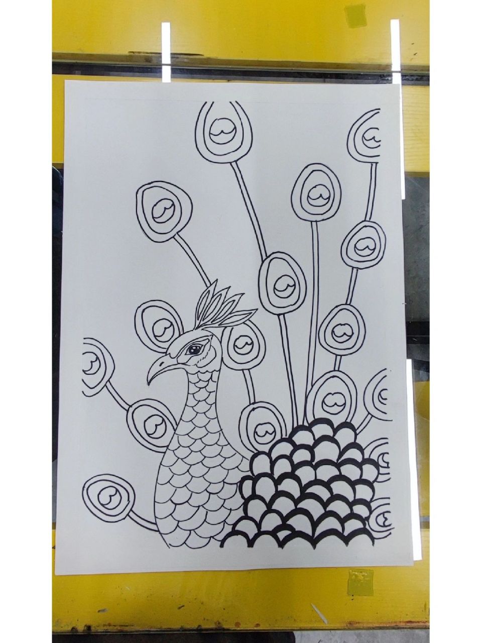 马克笔水彩笔,线描线彩孔雀,幼儿简单易学     绘画