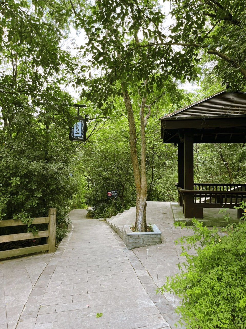 南京江宁|免费中式公园 东山公园占地面积7.