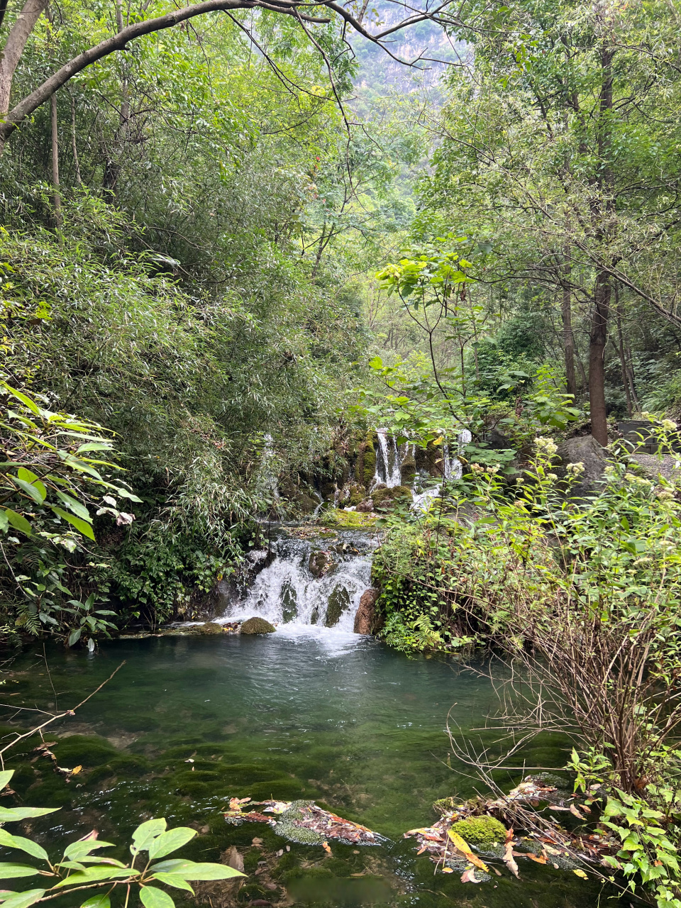 【一步一景,一景一瀑,龙潭河风景美如画】龙潭河景区位于郧西县羊尾镇
