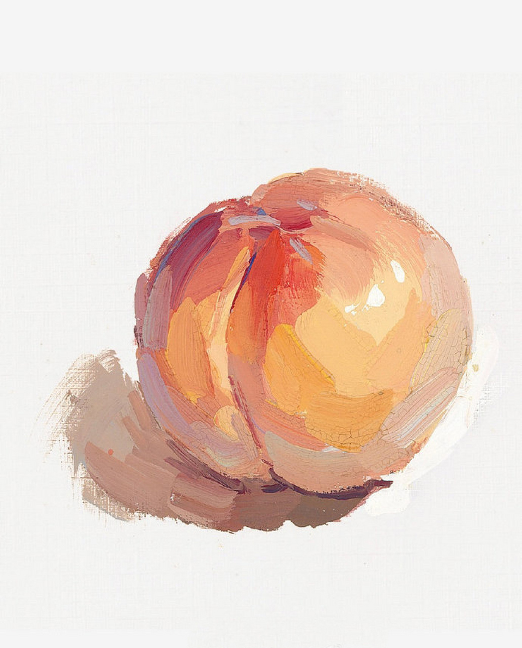 色彩|初学着适用的色彩静物单体步骤教学 #色彩单体塑造