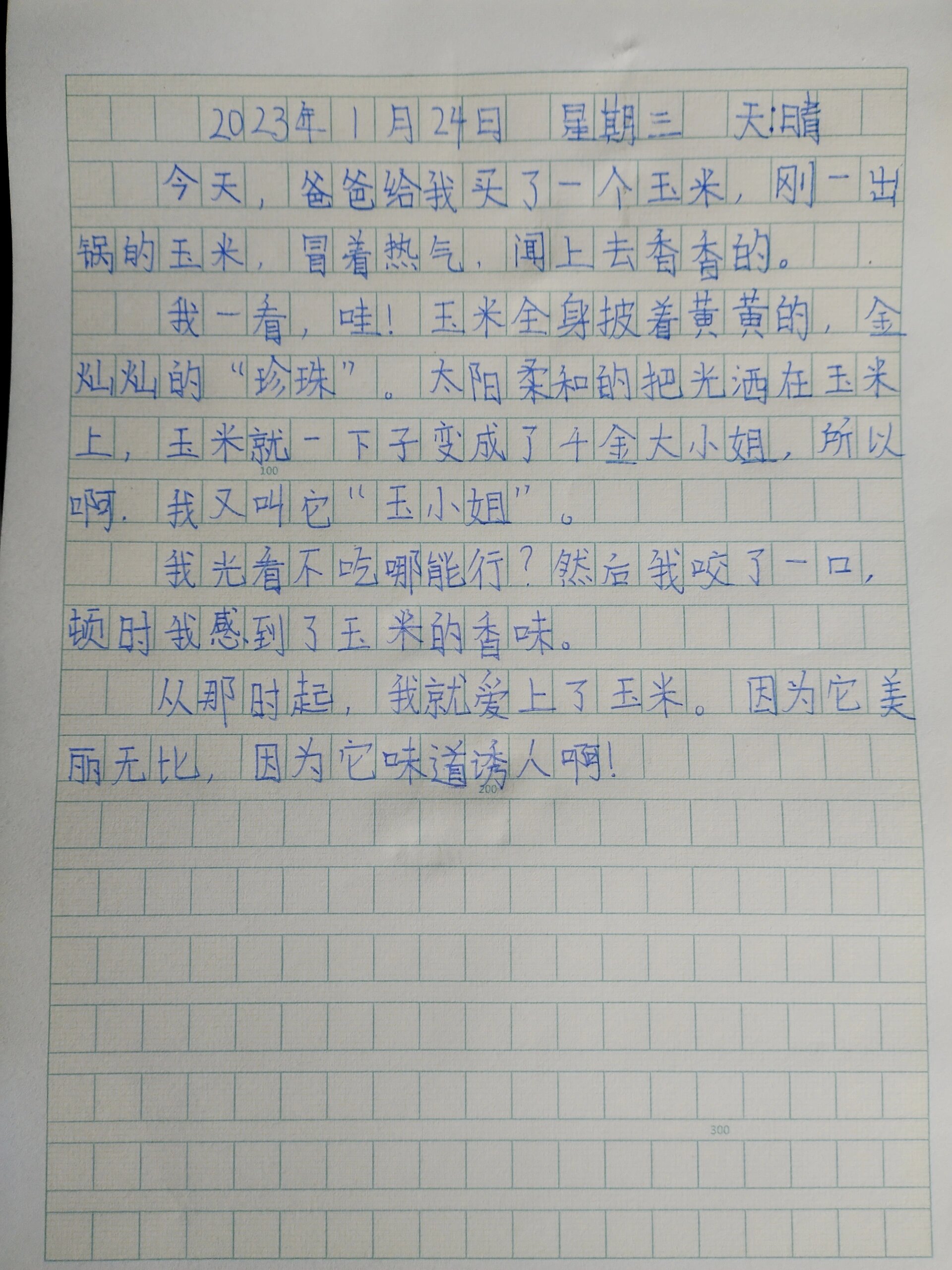 日记怎么写200字图片