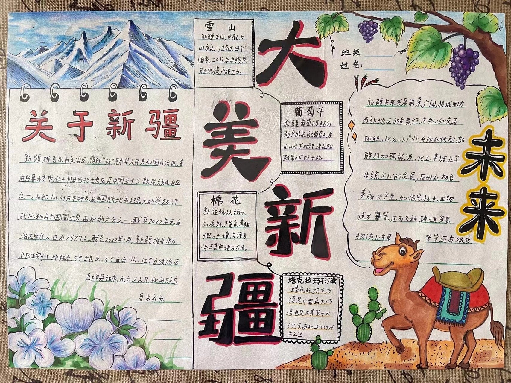98必收藏,初中省份地理手抄报新疆小报