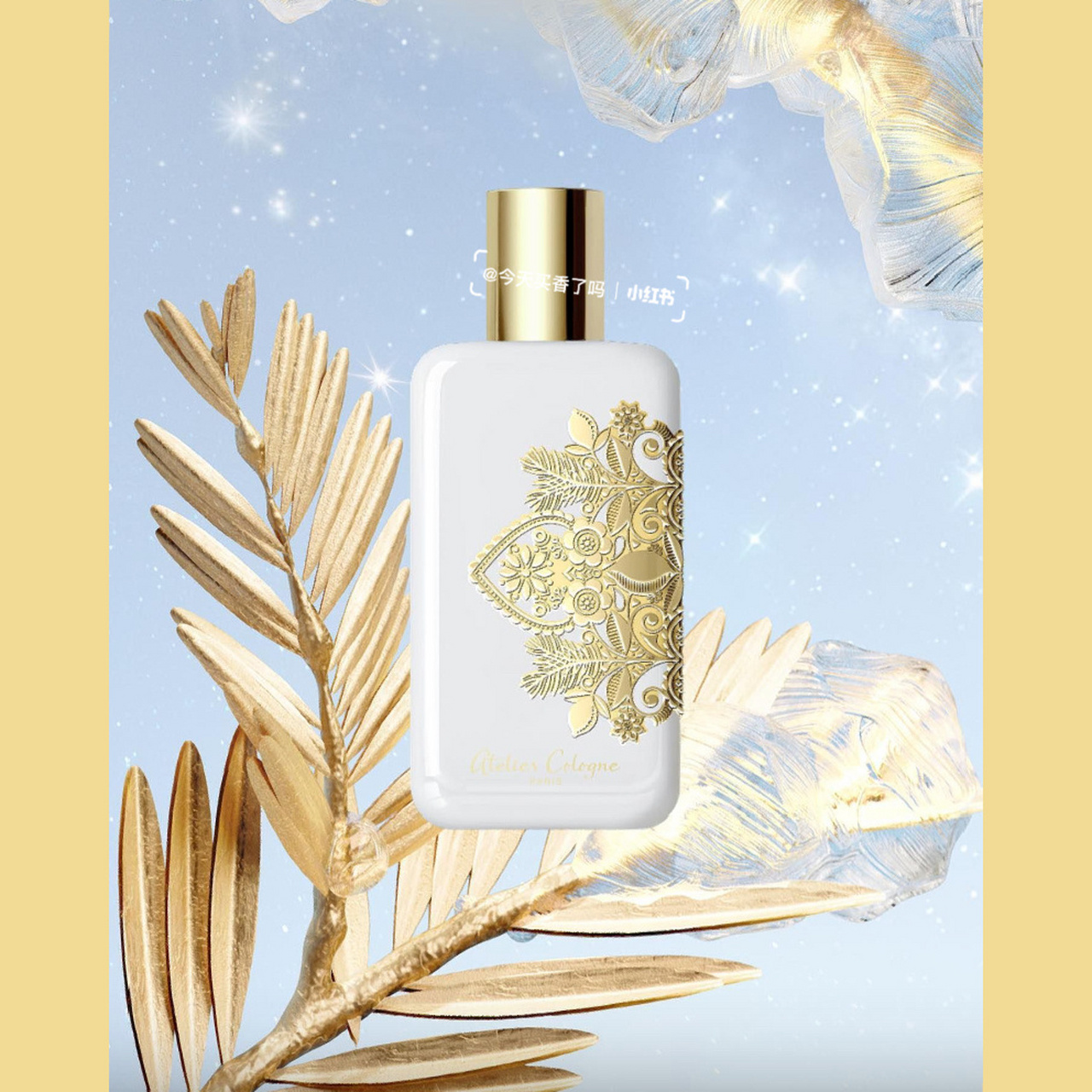 【新香速递】 欧珑-雪松之恋 限定 atelier cologne 欧珑 2022 cèdre