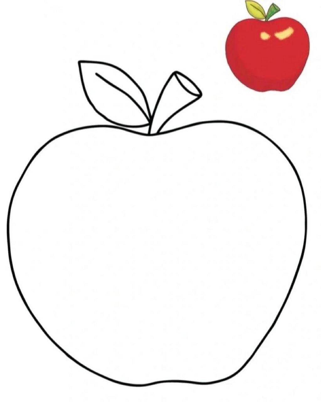 幼儿园水果&水果简笔画   水果简笔画