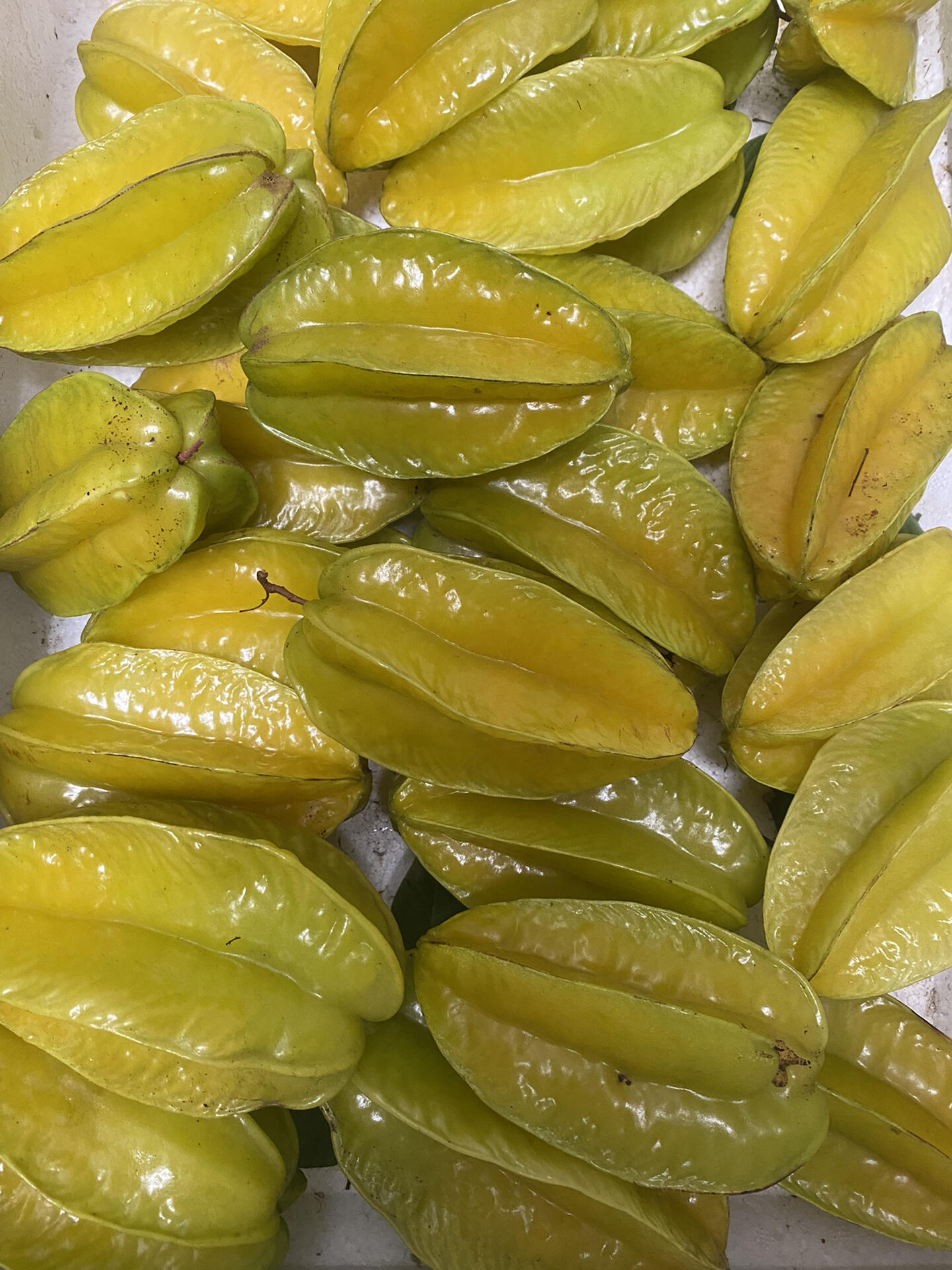 广州增城杨桃的6大功效与作用欢迎补充9595