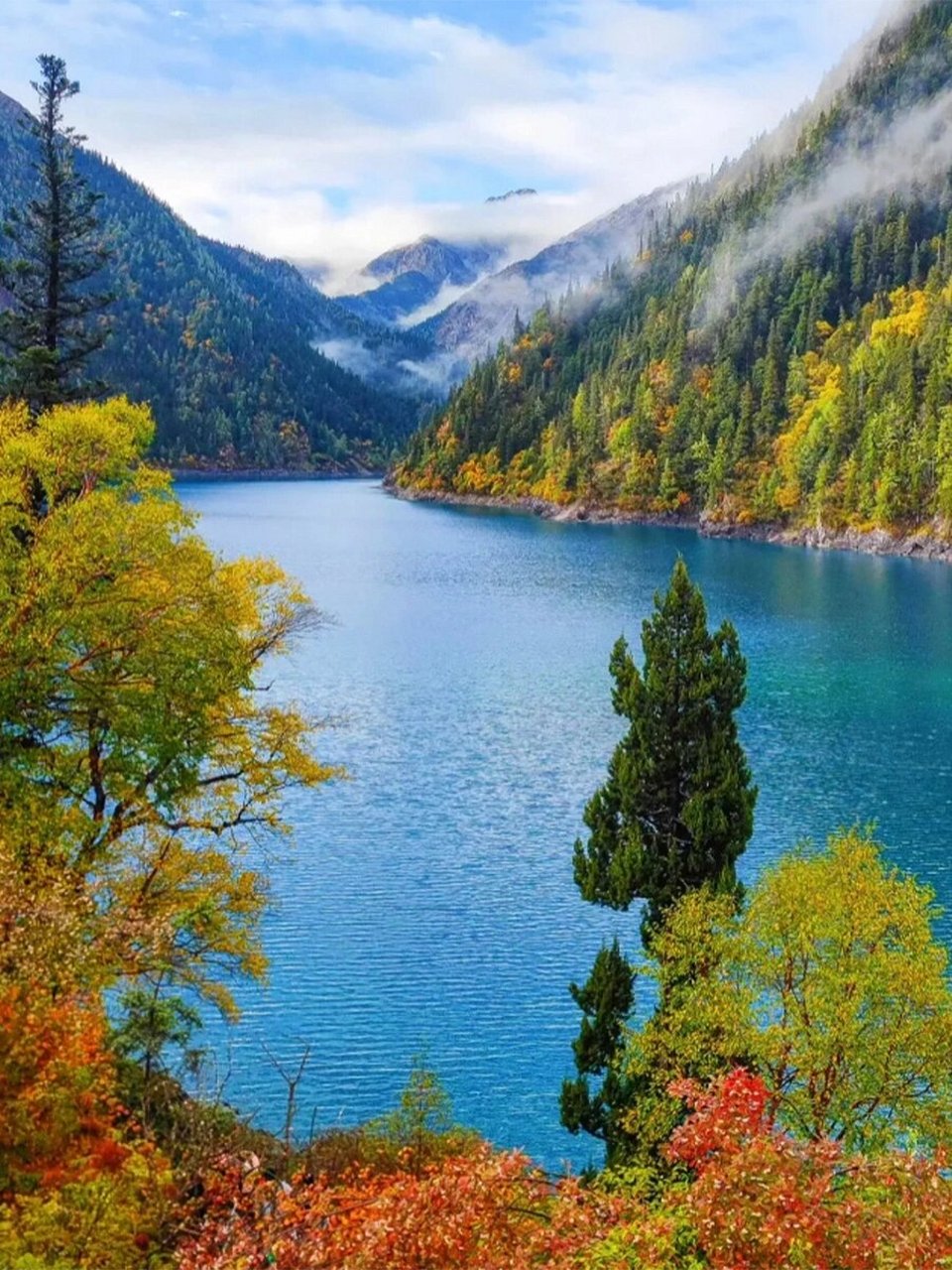 目前九寨沟的彩林93已初具规模,绿林与彩林交织在一起,简直是视觉