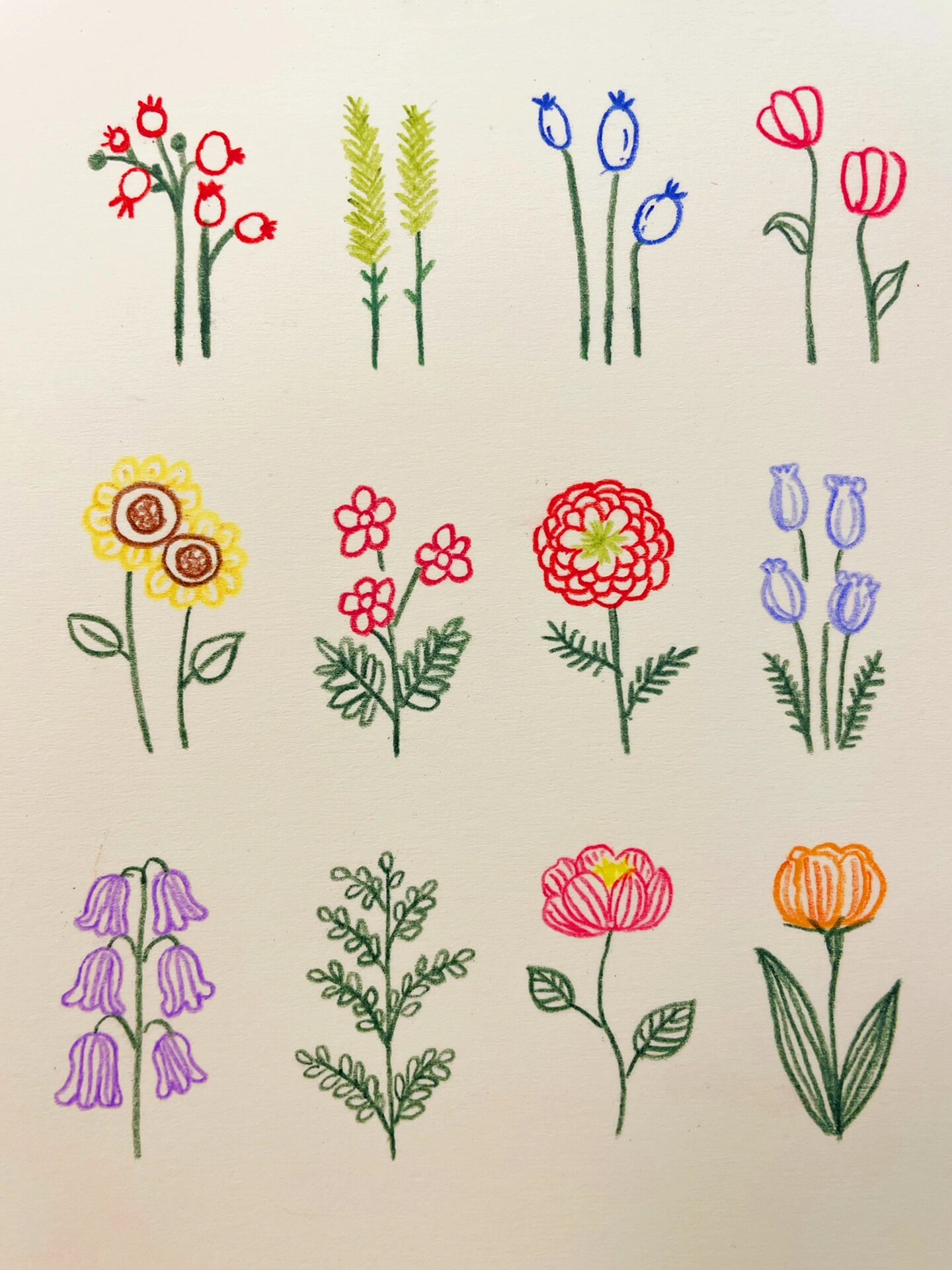 彩铅花朵简笔画,花花让人开心