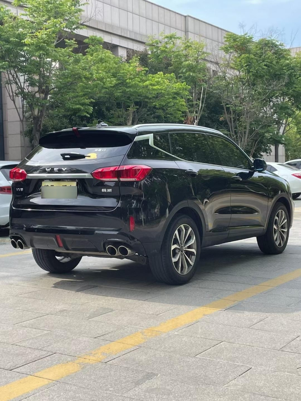 2018年10月长城魏派 vv6,超豪华版,2.