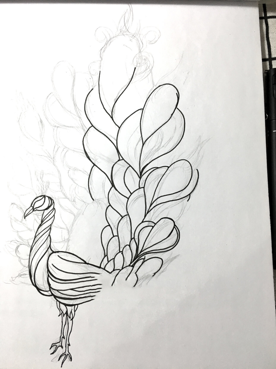 黑白装饰简笔画|动物系列(二) 5⃣️孔雀 开屏的孔雀 希望可以