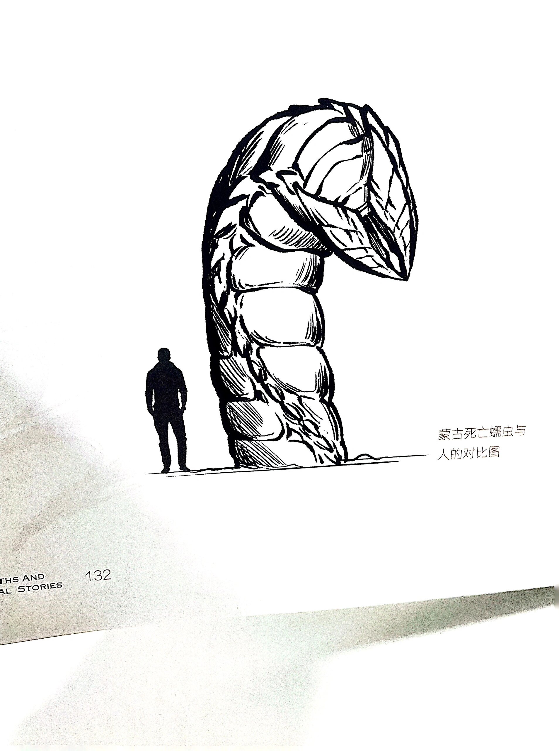 明媚爬行,蒙古死亡蠕虫9993神秘生物图鉴 怀疑这是星战与沙丘里的