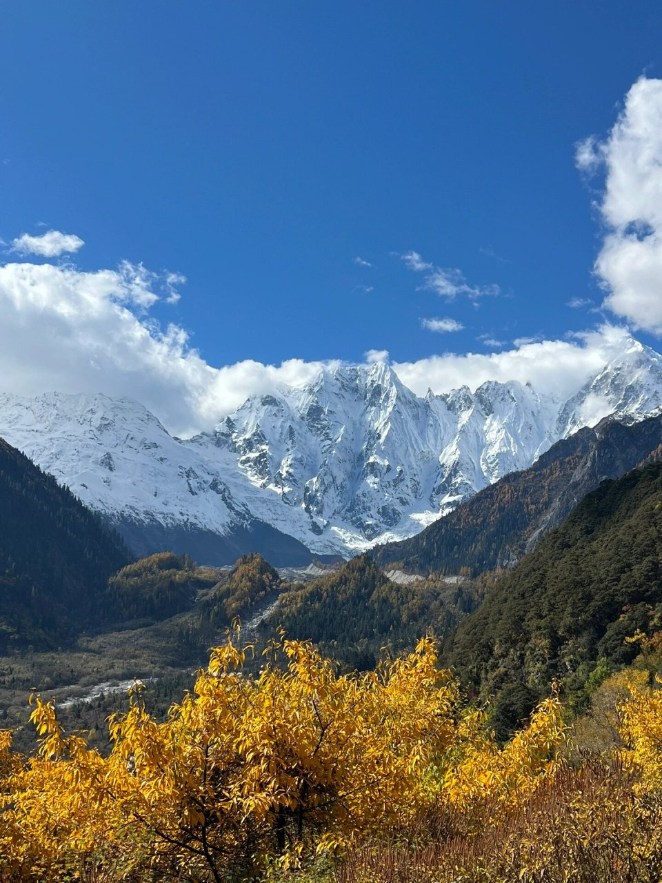 朱西冰川 最佳观赏点 普隆寺-也是每年桃花季的最佳观赏点 普隆寺就在