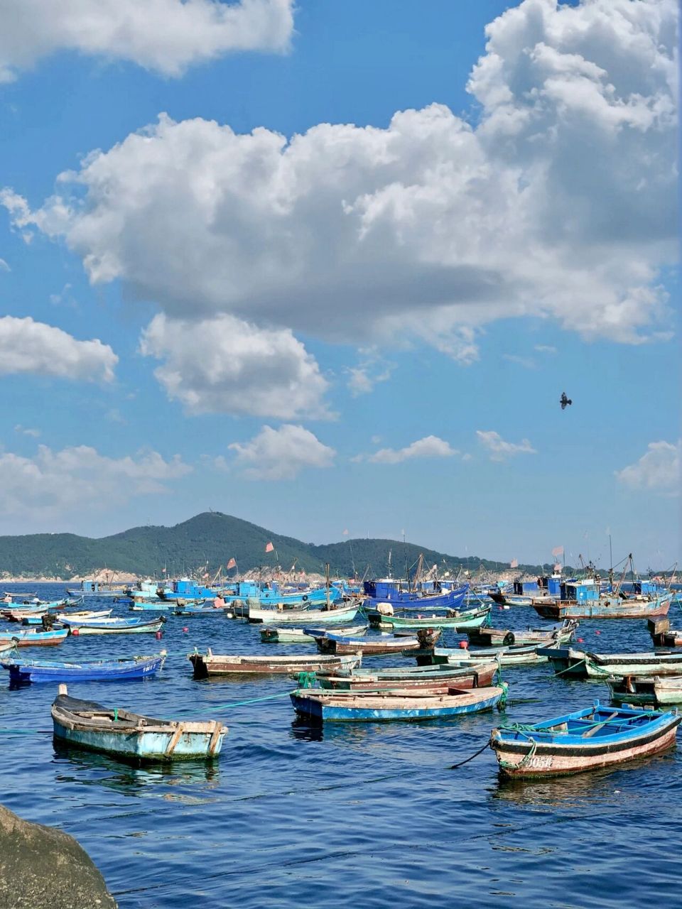 威海旅行 一定要来海源公园7515 这里的海水好蓝 海面停靠各式各