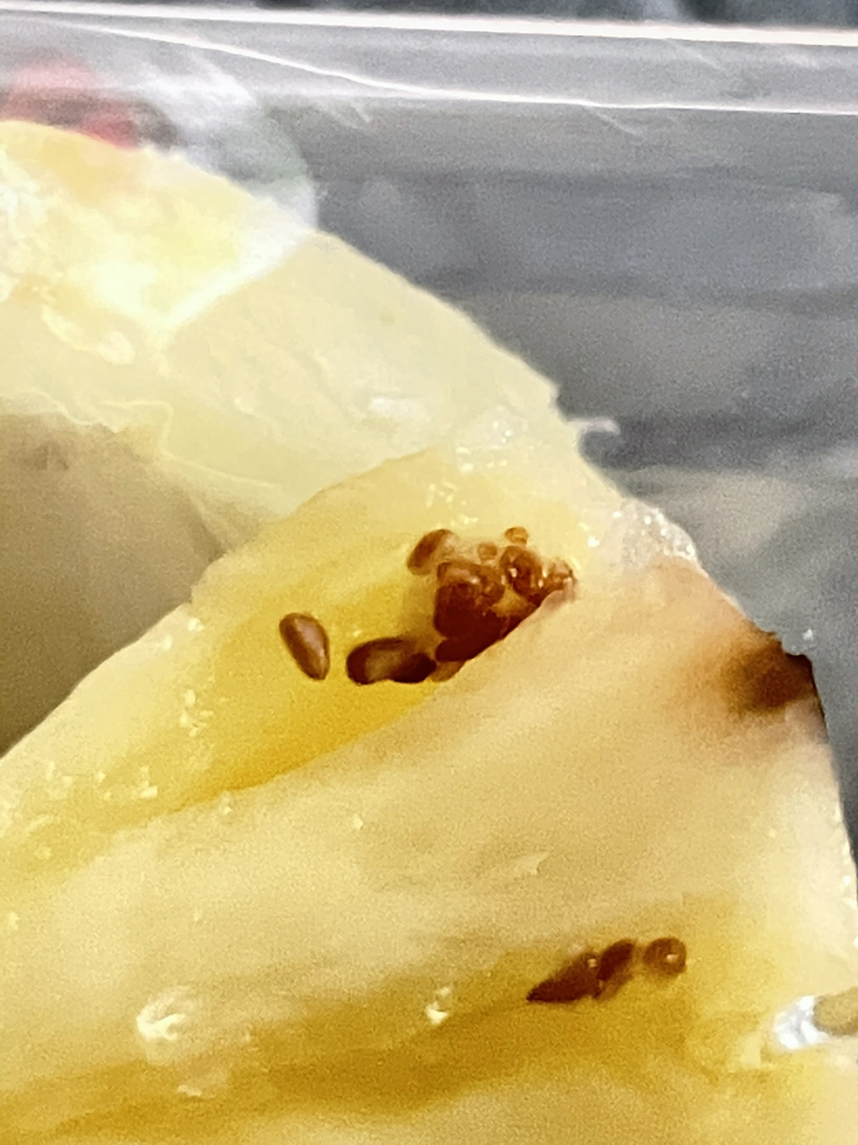 这是菠萝的虫卵么?百果园买的 吃了一大半才发现,是虫卵么?