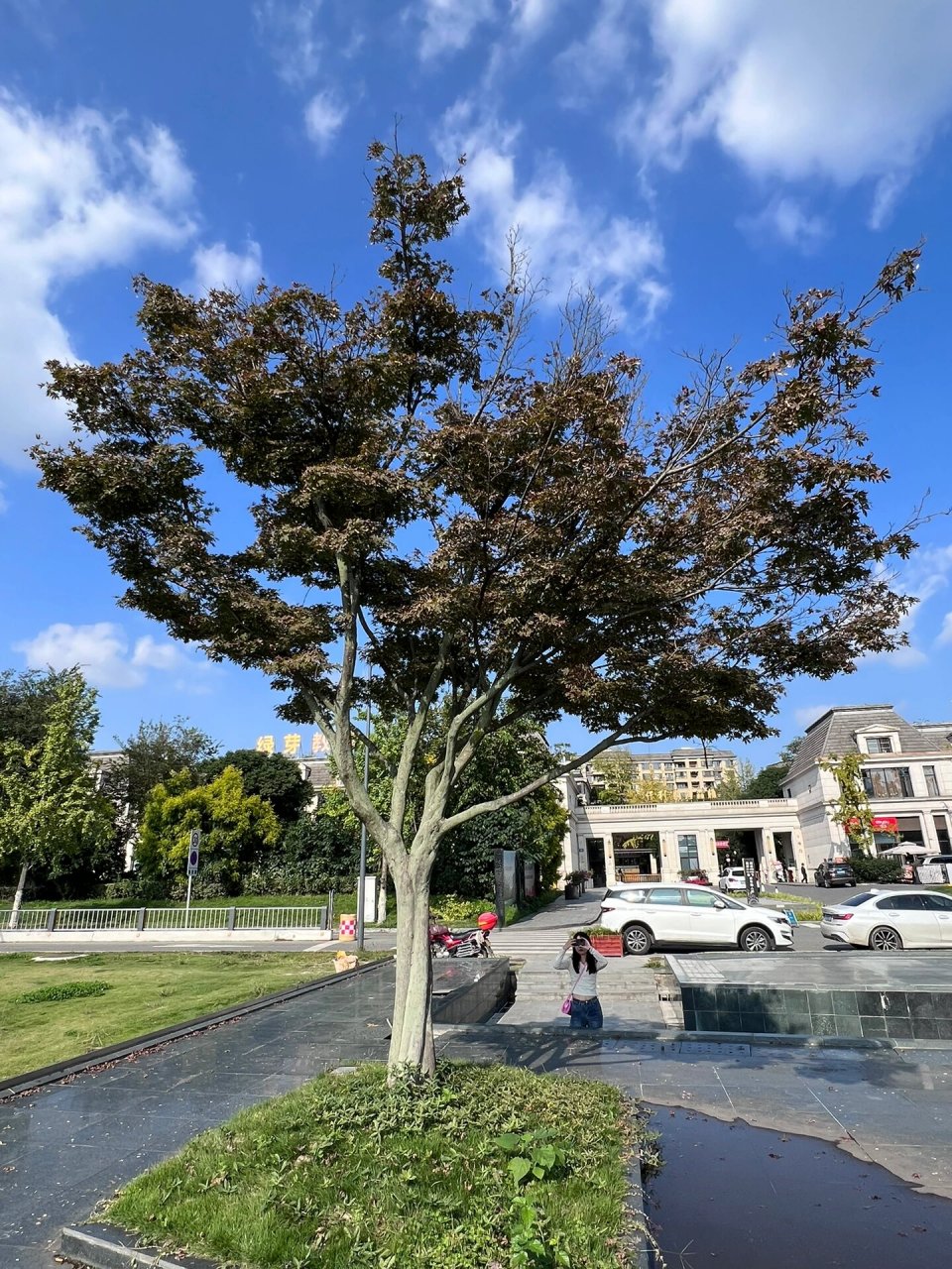 周末不知道去那里玩可以去两河城市森林公园,太阳晒起太舒服了,可以