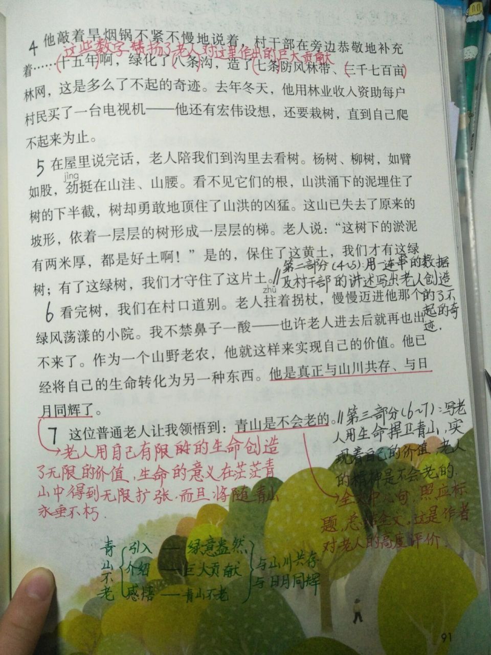 六年级上册语文第20课《青山不老》笔记