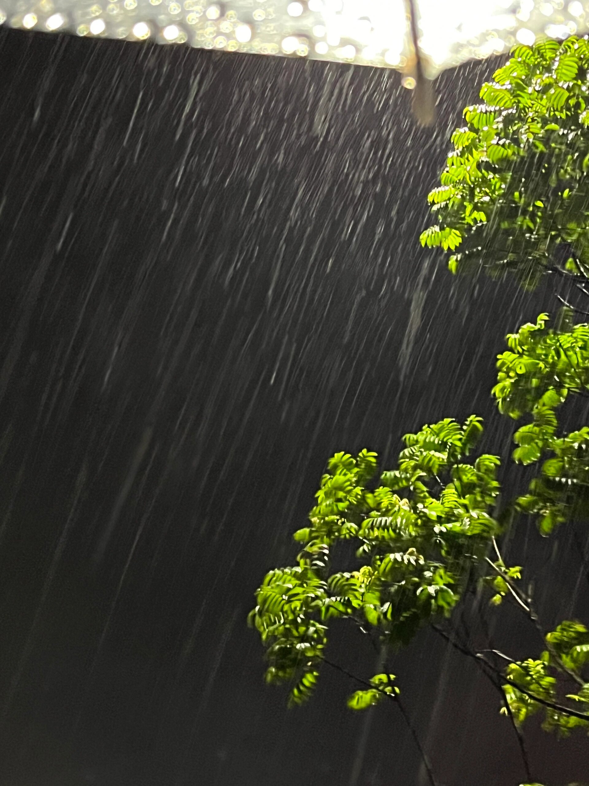 下雨图片大全真实照片