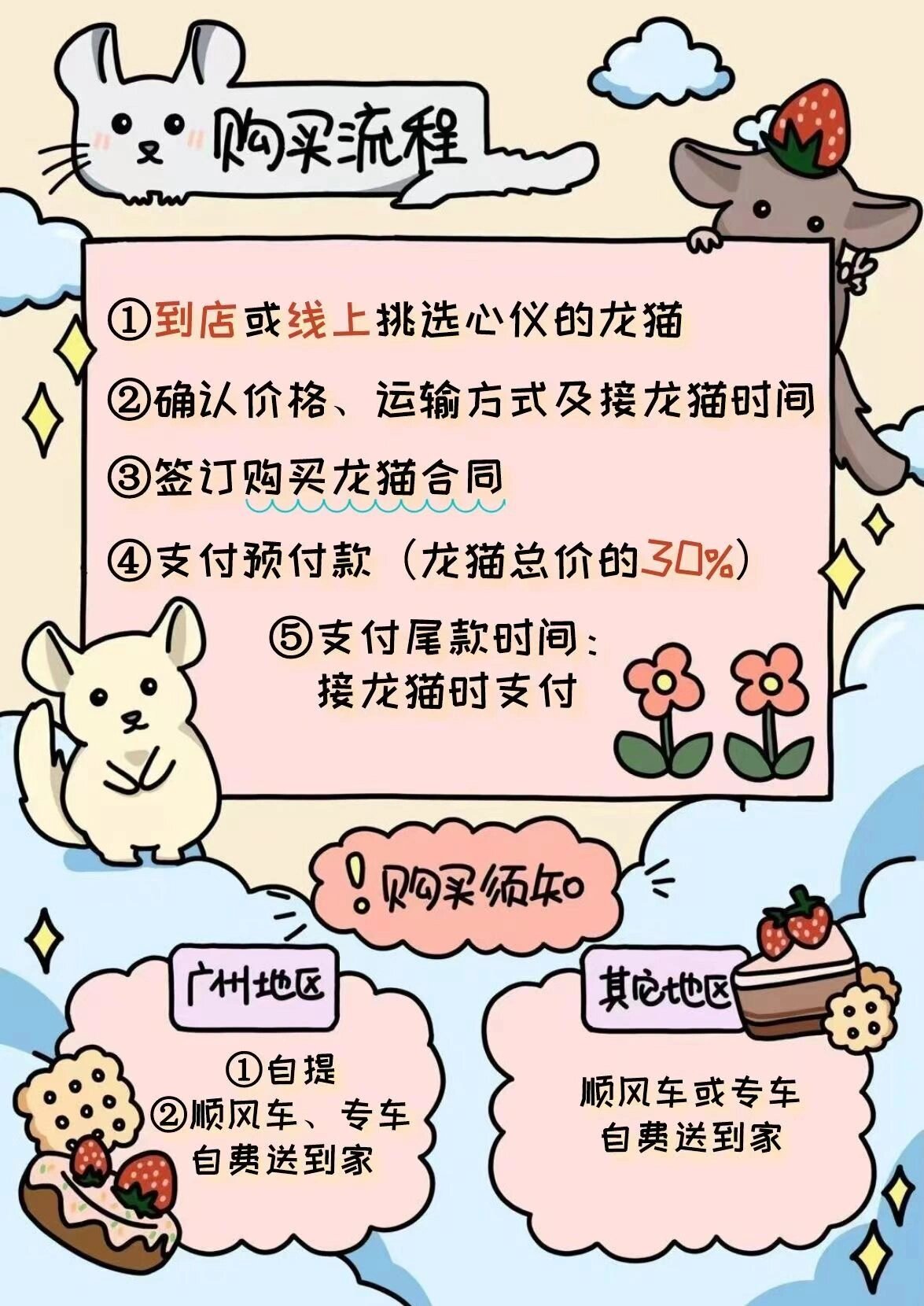 龙猫品种和价格表图片