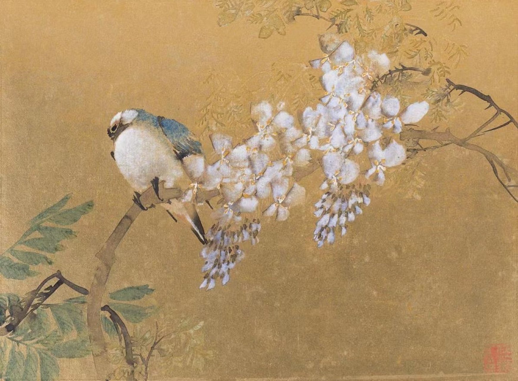 【任薰丨清代《花鸟册》】#盛世修典##小布带你云看展##宁波特展