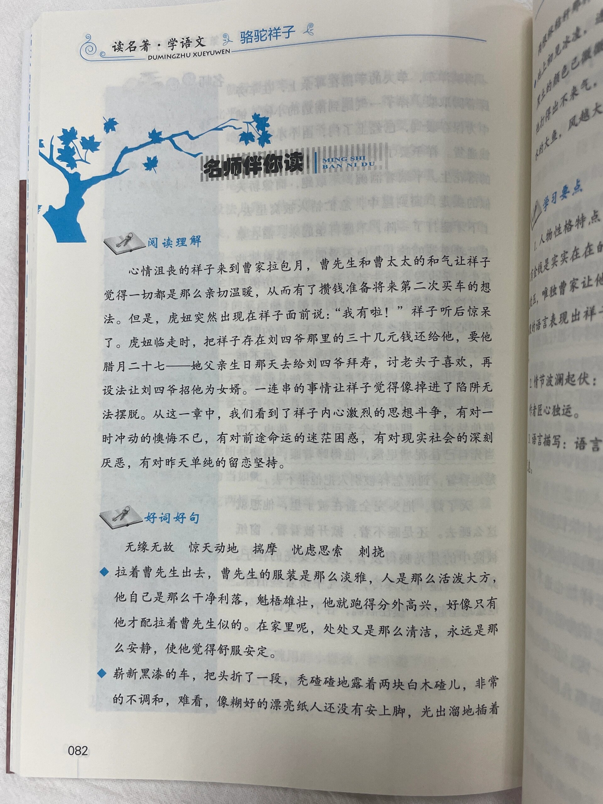 《骆驼祥子》对普通人命运的思考有什么启发