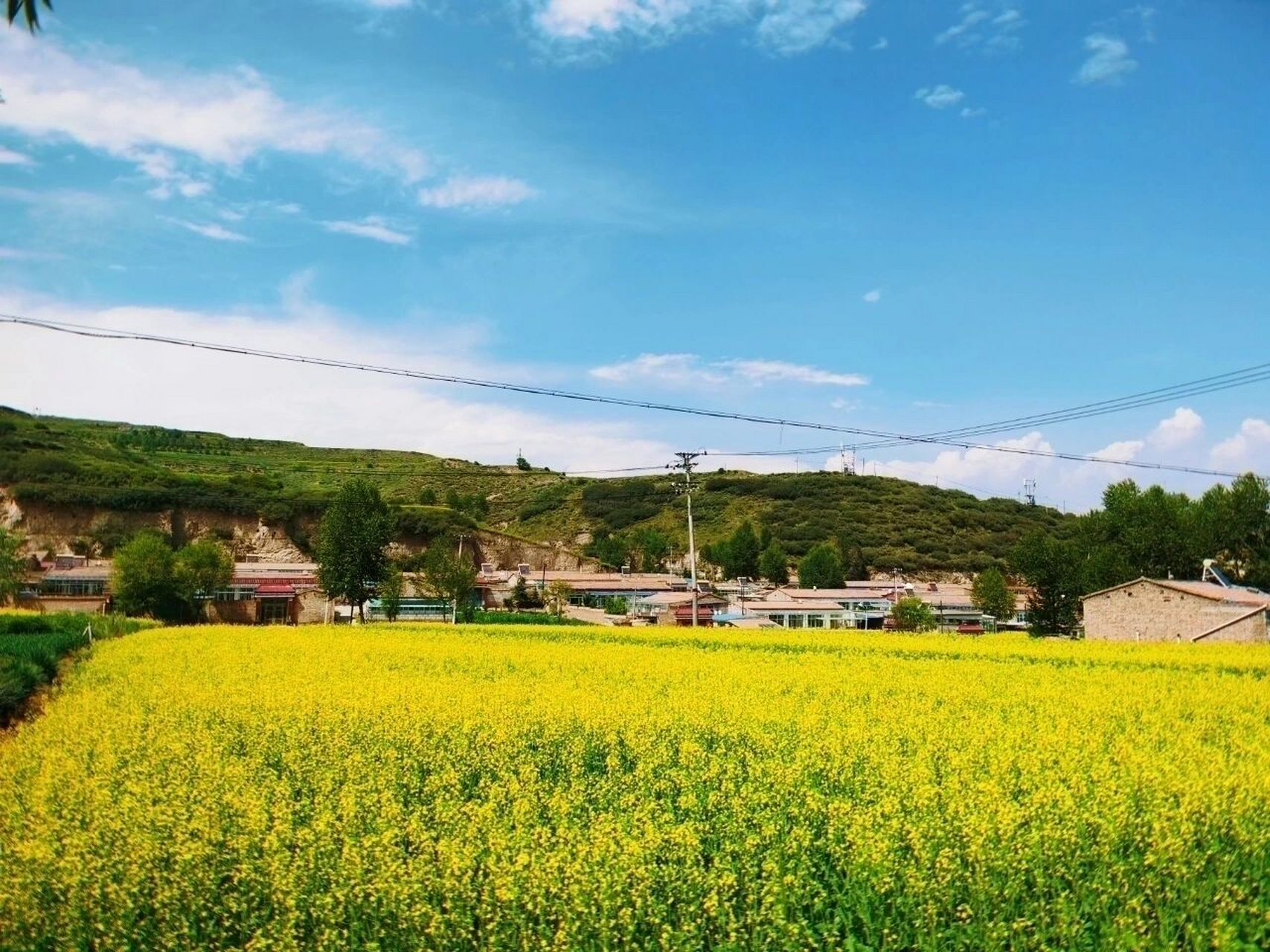 西宁大通县·娘娘山|野炊烧烤|夏日 时间:2021年06月27日 地点:青海省