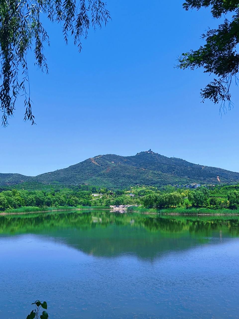 邯郸周边一日游|武安紫山公园|7415 邯郸市区附近一日游好去处