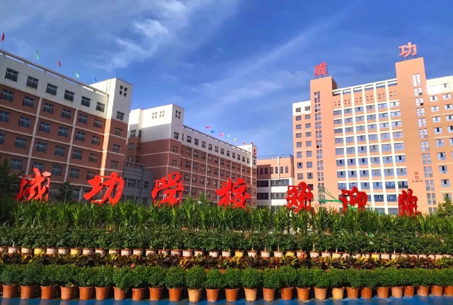 兰州成功学校中考复读线下报名恢复正常啦!