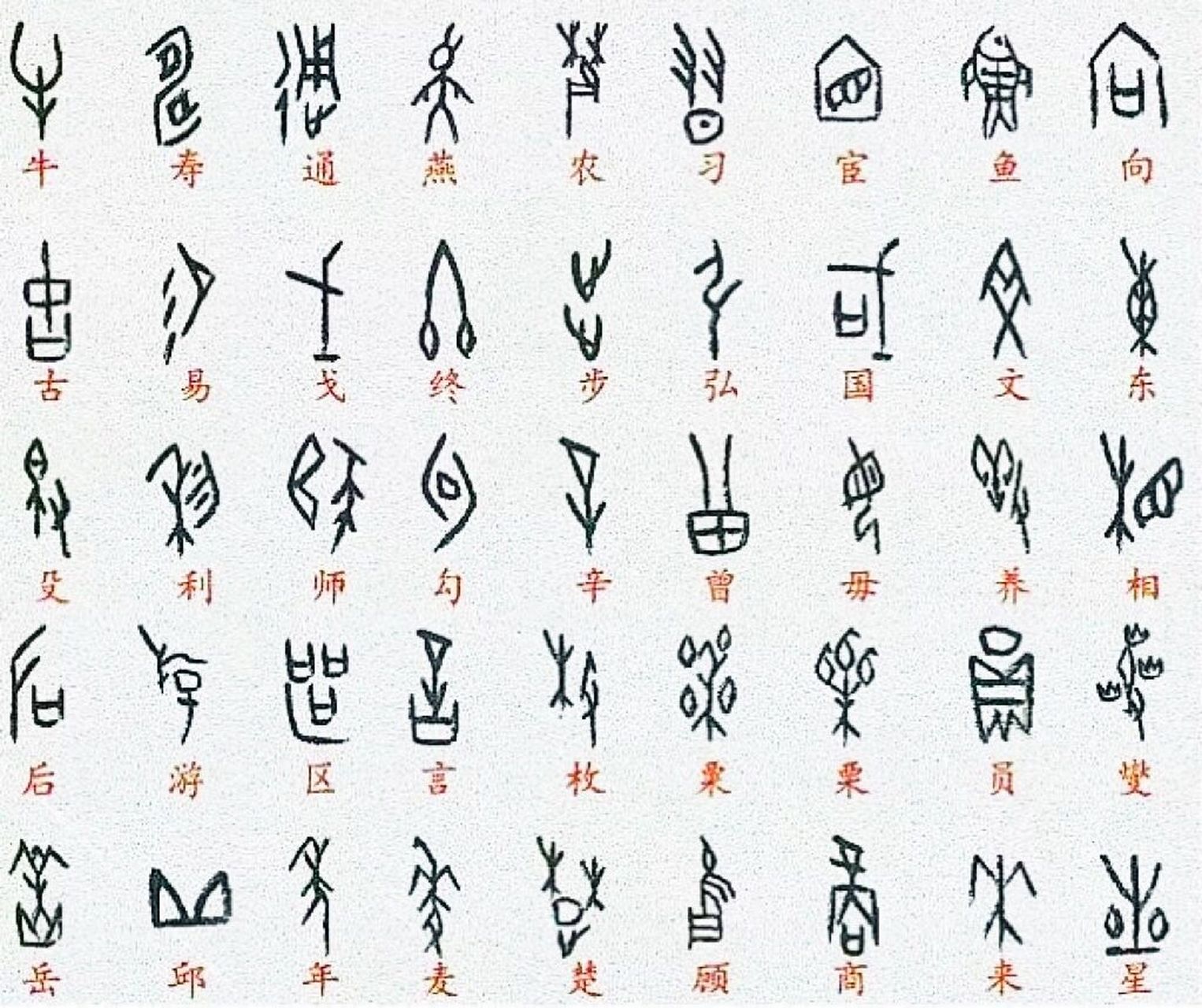 常用字甲骨文对照表 94已发现的殷墟甲骨文里,有大量指事字,象形字