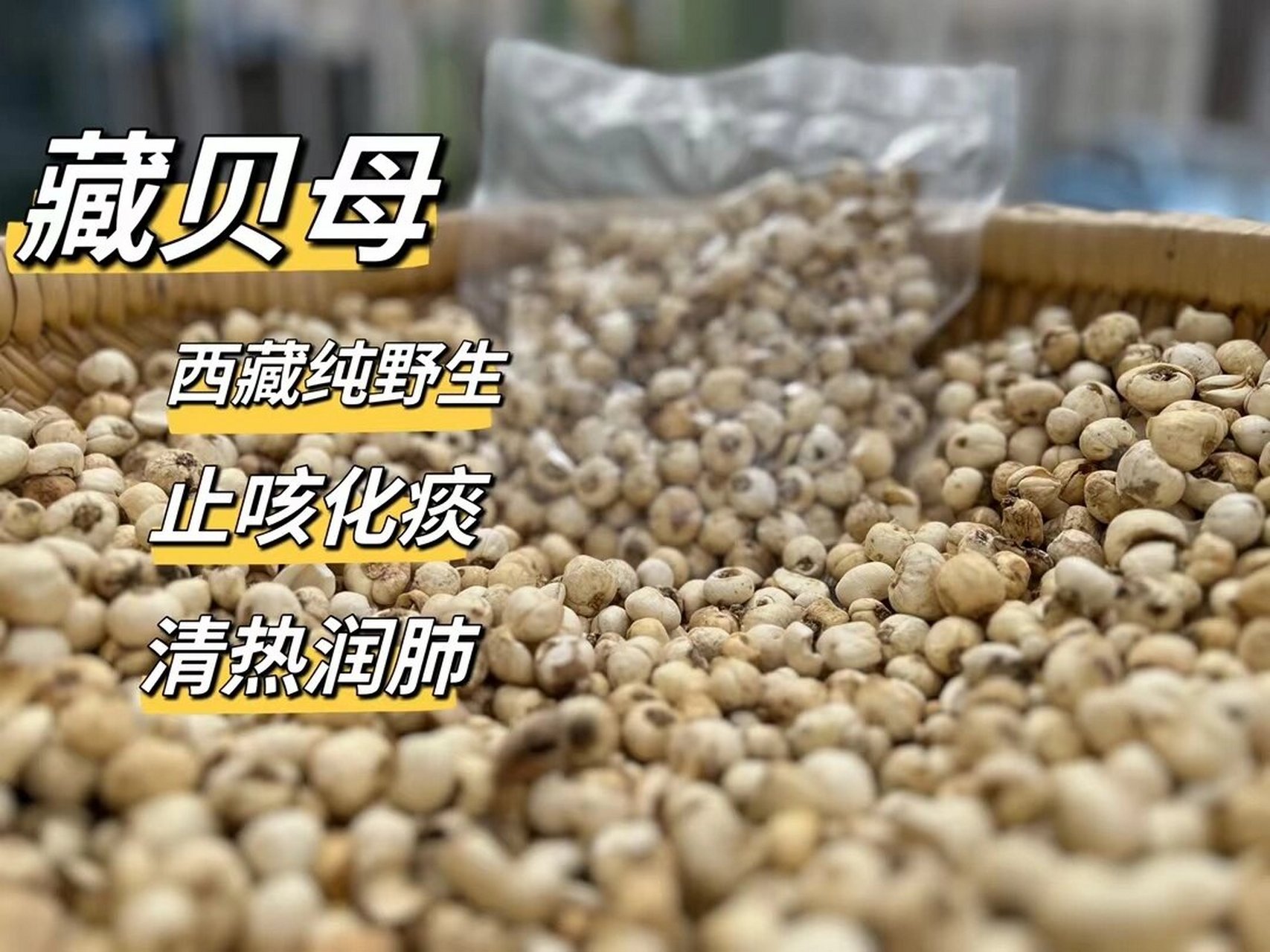 川贝和贝母的几种,如何辨别?