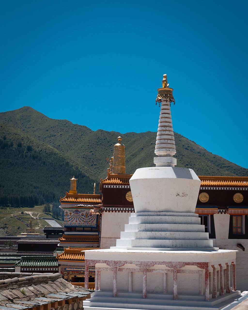 活佛大师的府邸——拉卜楞寺 简介:甘南之旅的第一站我们来到了藏传