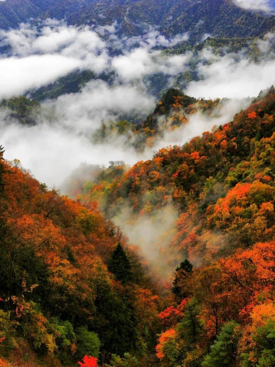 黄柏塬风景区图片