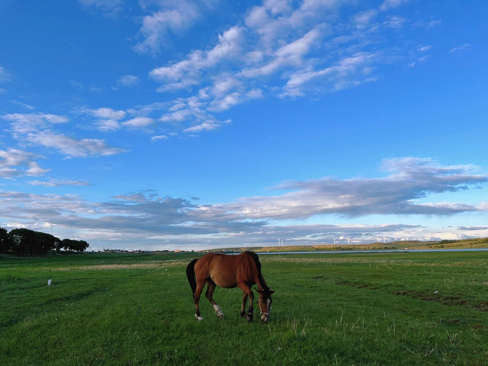 草原天路  |  | 一直在路上的风景 99地标:张北草原天路 7215