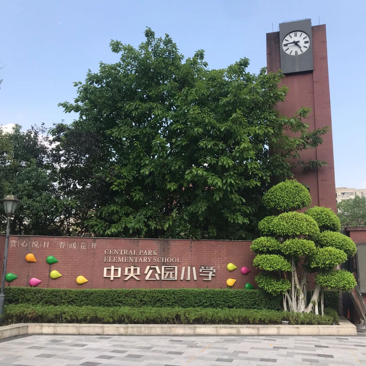 公园小学图片