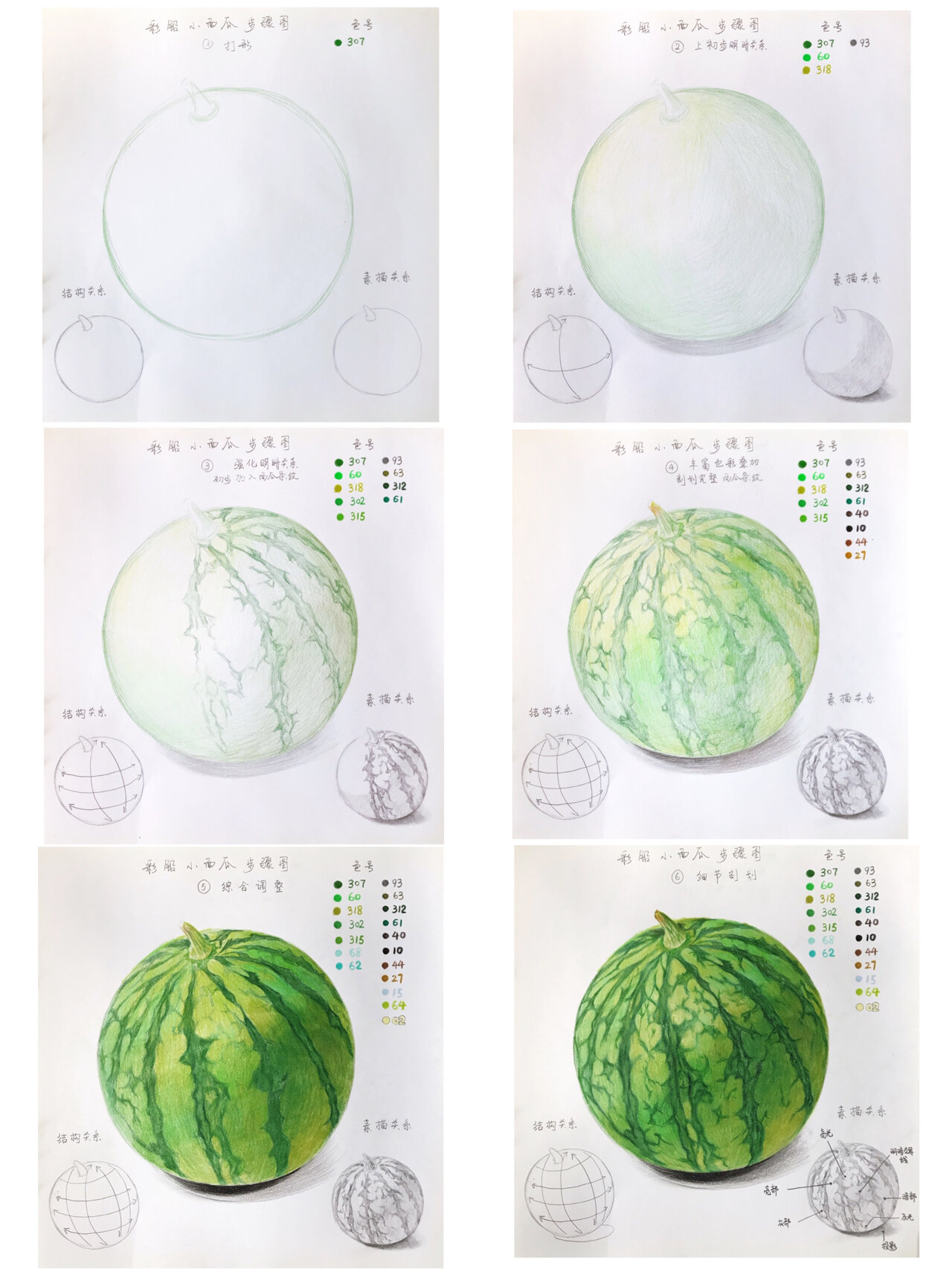 彩铅画 西瓜步骤教学 深度解析