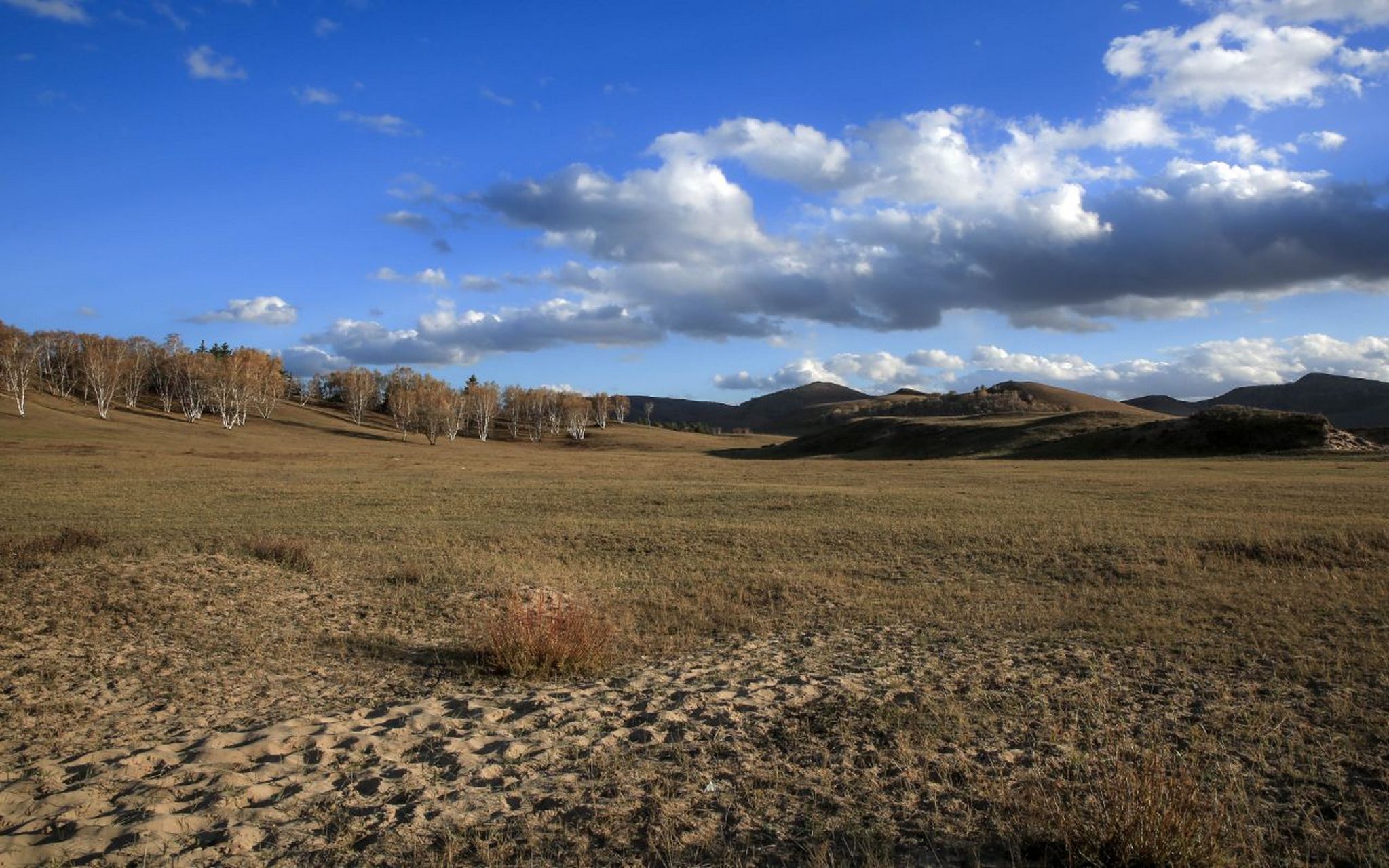 内蒙十大必去景点推荐 内蒙古特色景点 1,呼伦贝尔大草原.