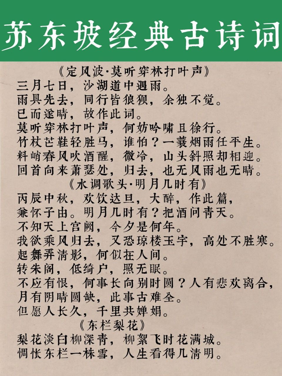 书法创作内容|苏轼经典古诗词20首 "一蓑烟雨任平生 也无风雨也无晴"