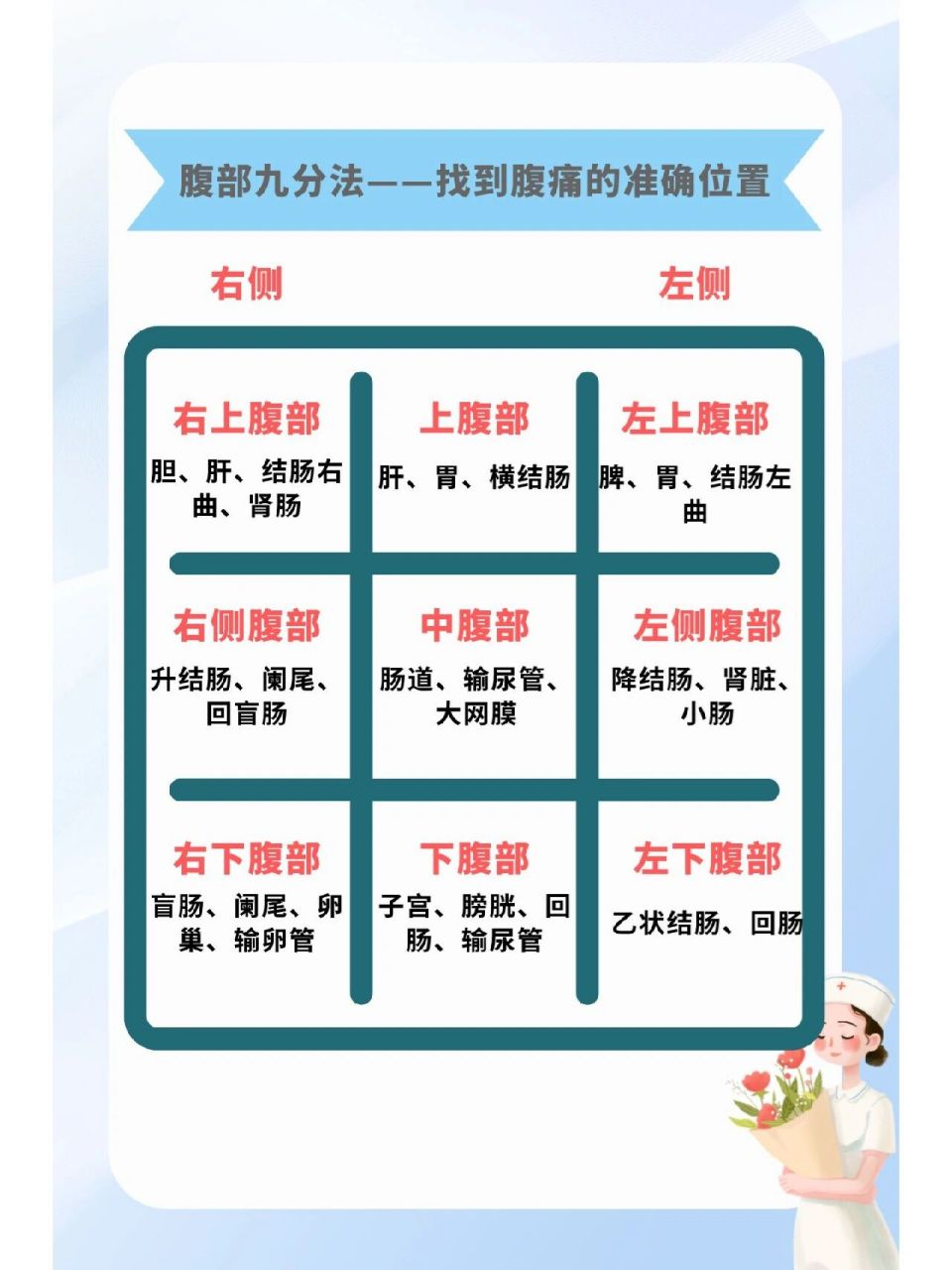 腹部九分法:准确找到肚子疼的位置