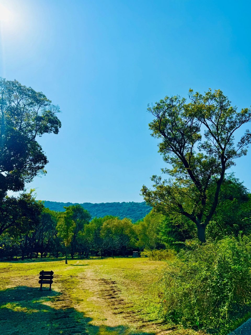 打卡无锡宝界山林公园99 周末放假想找个地方逛一逛呼吸一下新鲜