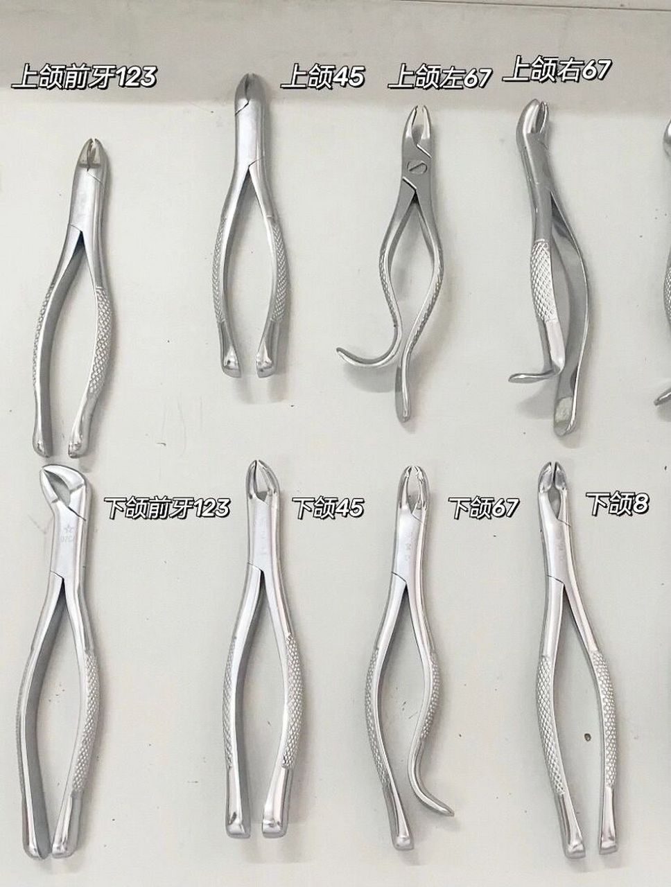 口腔护士 之拔牙钳第一弹