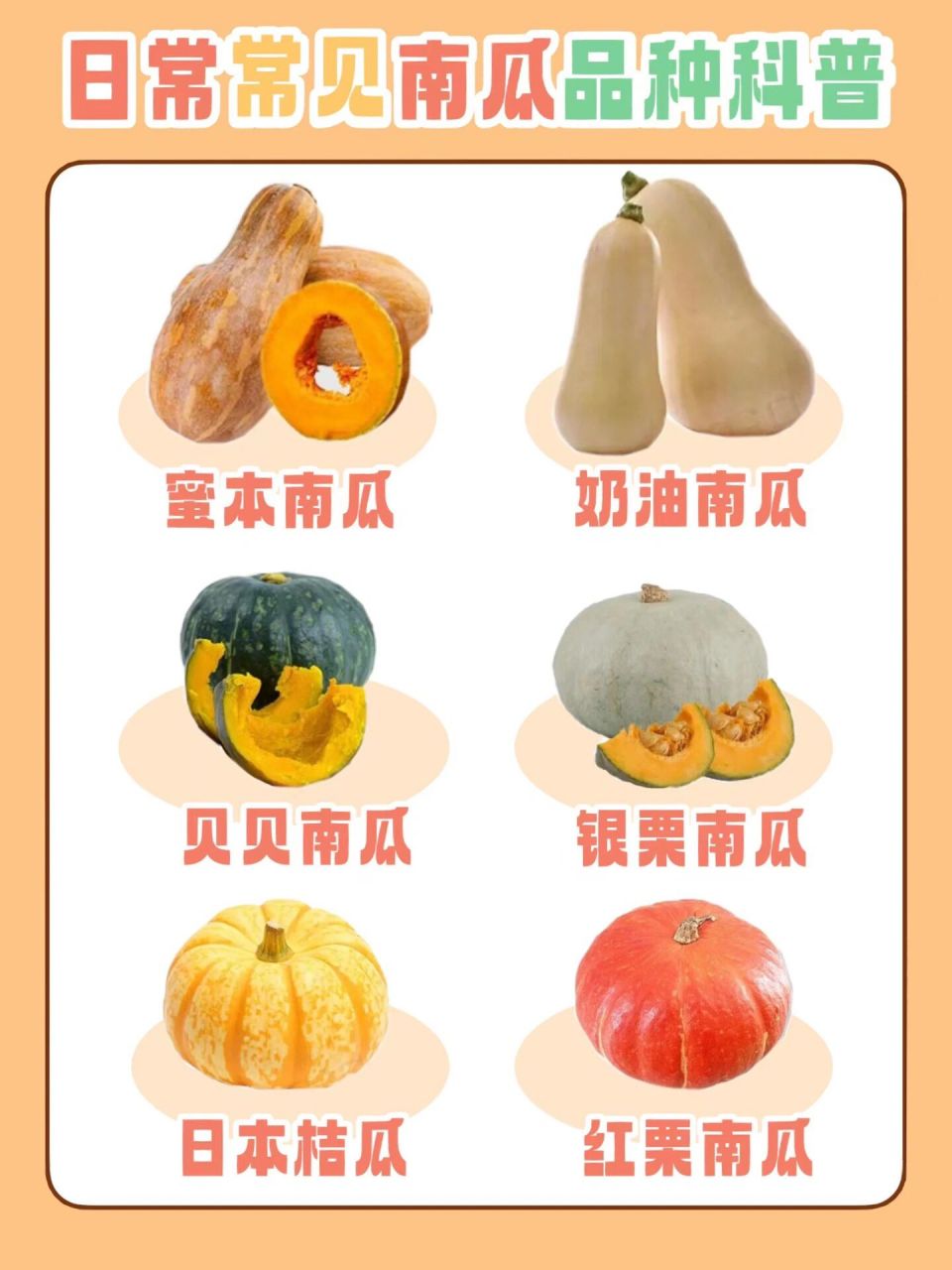 南瓜爱好者看过来,这些南瓜种类你知道吗 相信很多人在买南瓜的时候