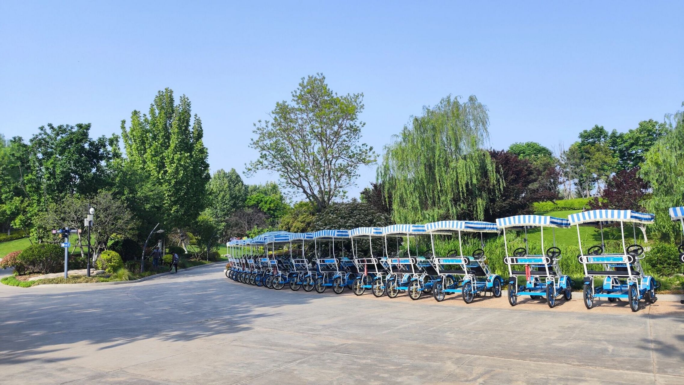 济宁市儿童乐园太美了吧 夏季的济宁儿童乐园,郁郁葱葱,勃勃生机,充满