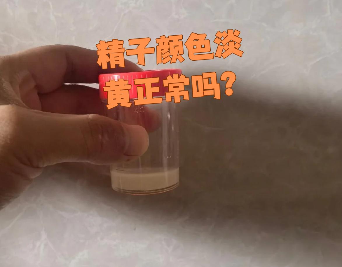精液为什么是黄色的