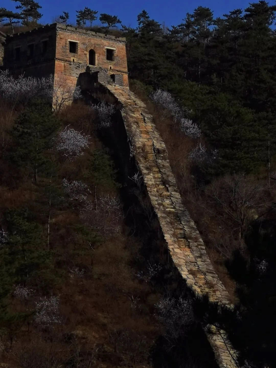 3月5日一起踏春赏花:鳞龙山-鹞子峪-水长城 94周日一起赏花踏青吧