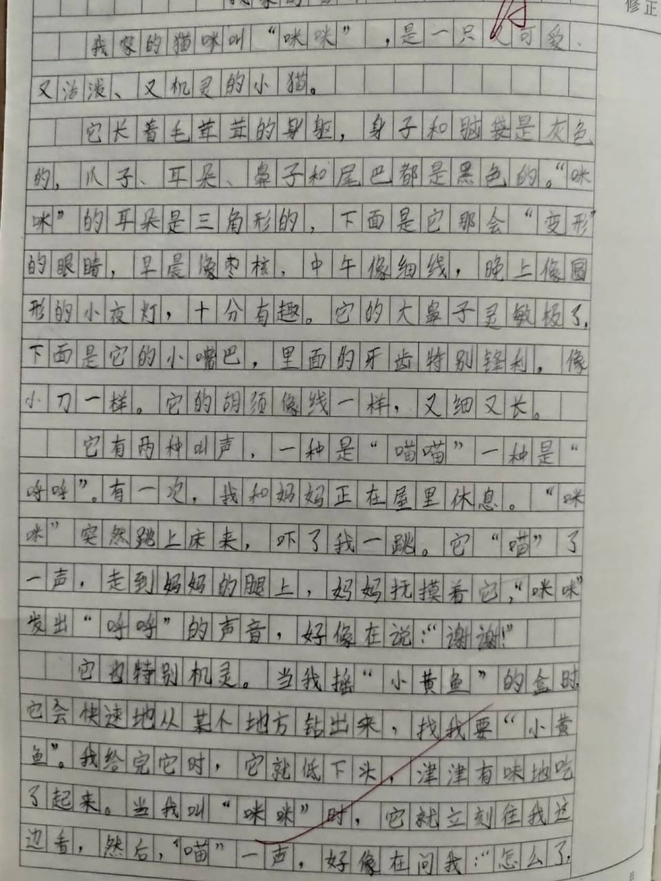 小孩练习的三年级三百字作文《我家的猫咪》